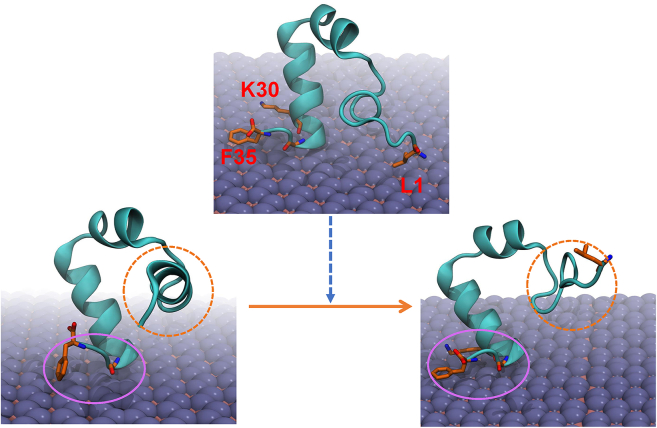 Figure 4