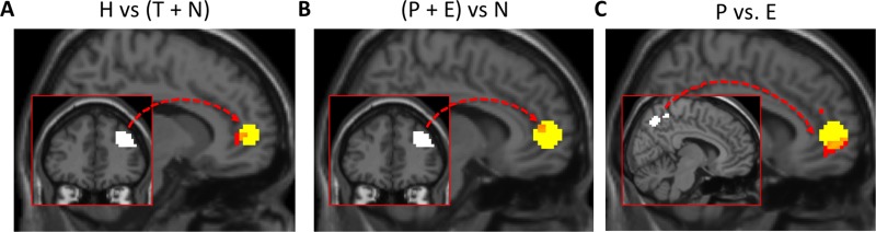 Figure 3—figure supplement 2.