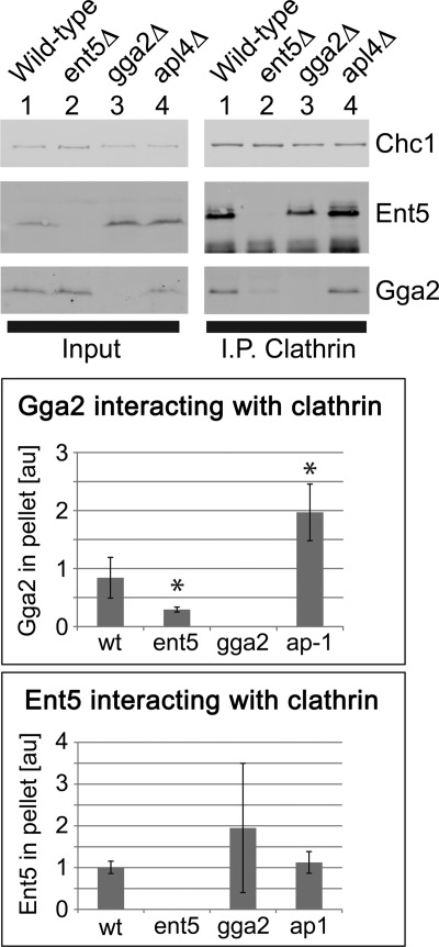 FIGURE 1.