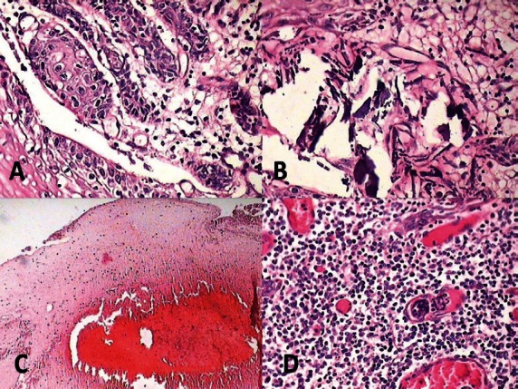 Figure 7:
