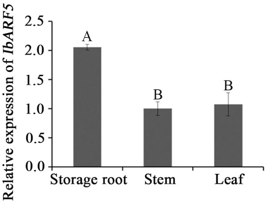 FIGURE 4