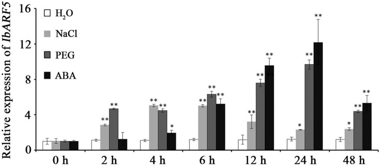 FIGURE 5