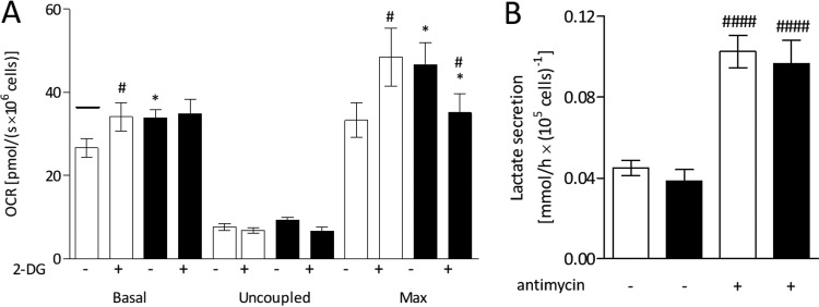 FIG 3 