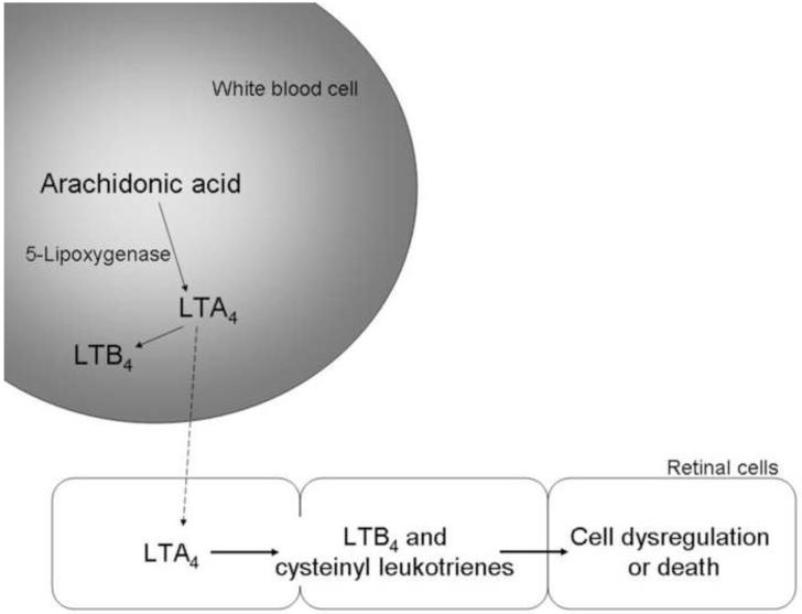 Fig 5