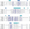 Figure 4—figure supplement 2.