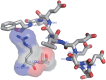 Figure 4—figure supplement 1.