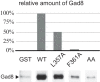 Figure 4—figure supplement 5.