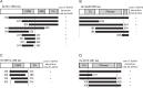 Figure 2—figure supplement 1.