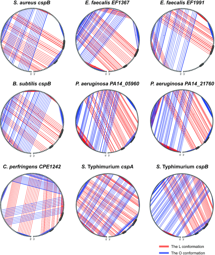 Figure 9.