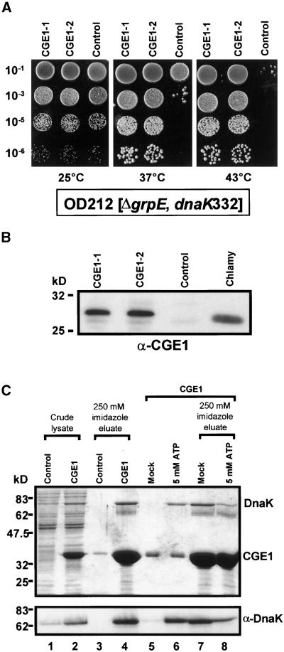 Figure 9.