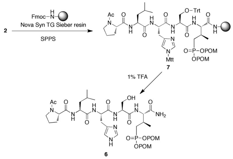 Scheme 2