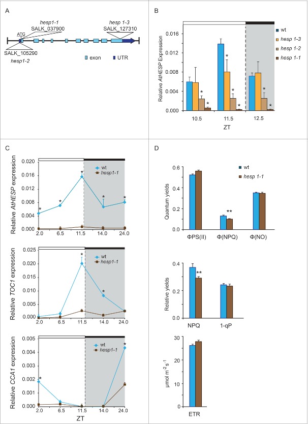 Figure 5.