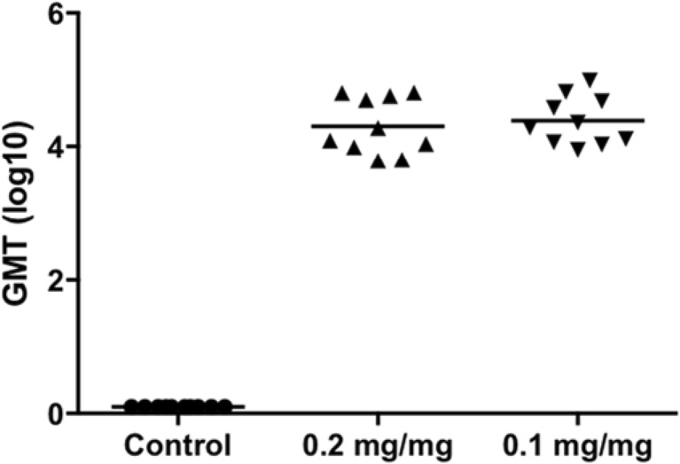 Fig. 10