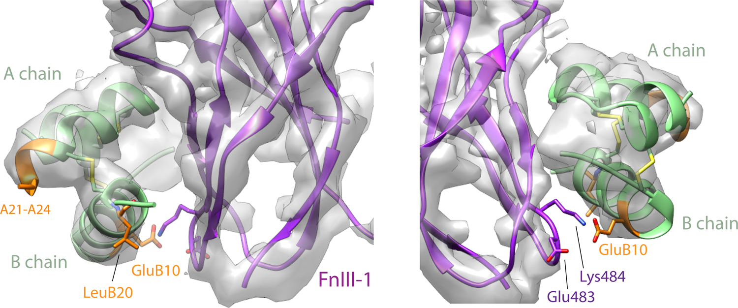 Extended Data Fig. 3