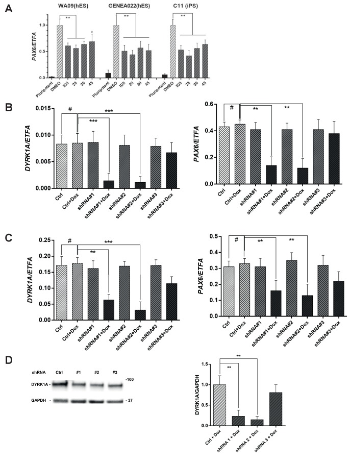 Figure 4—figure supplement 1.