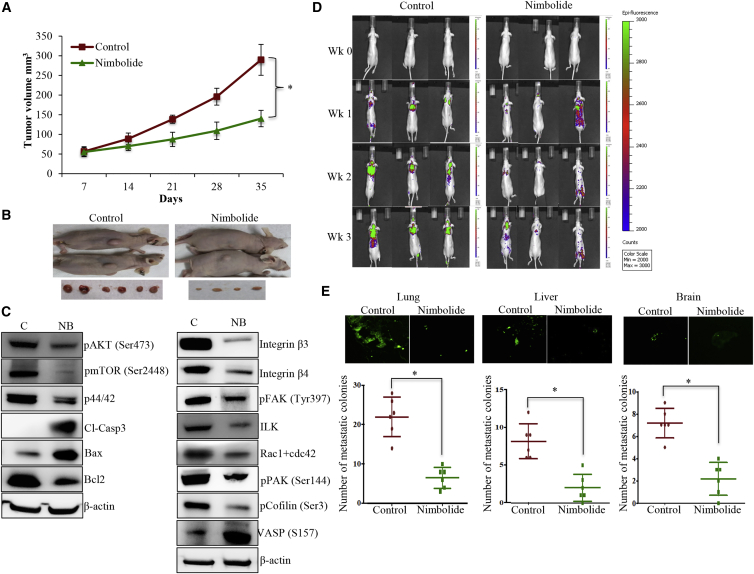 Figure 6