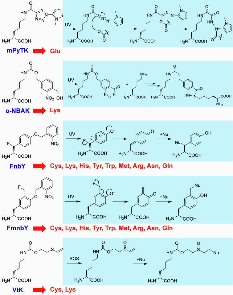 Figure 9