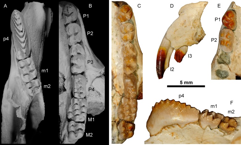 Fig 4