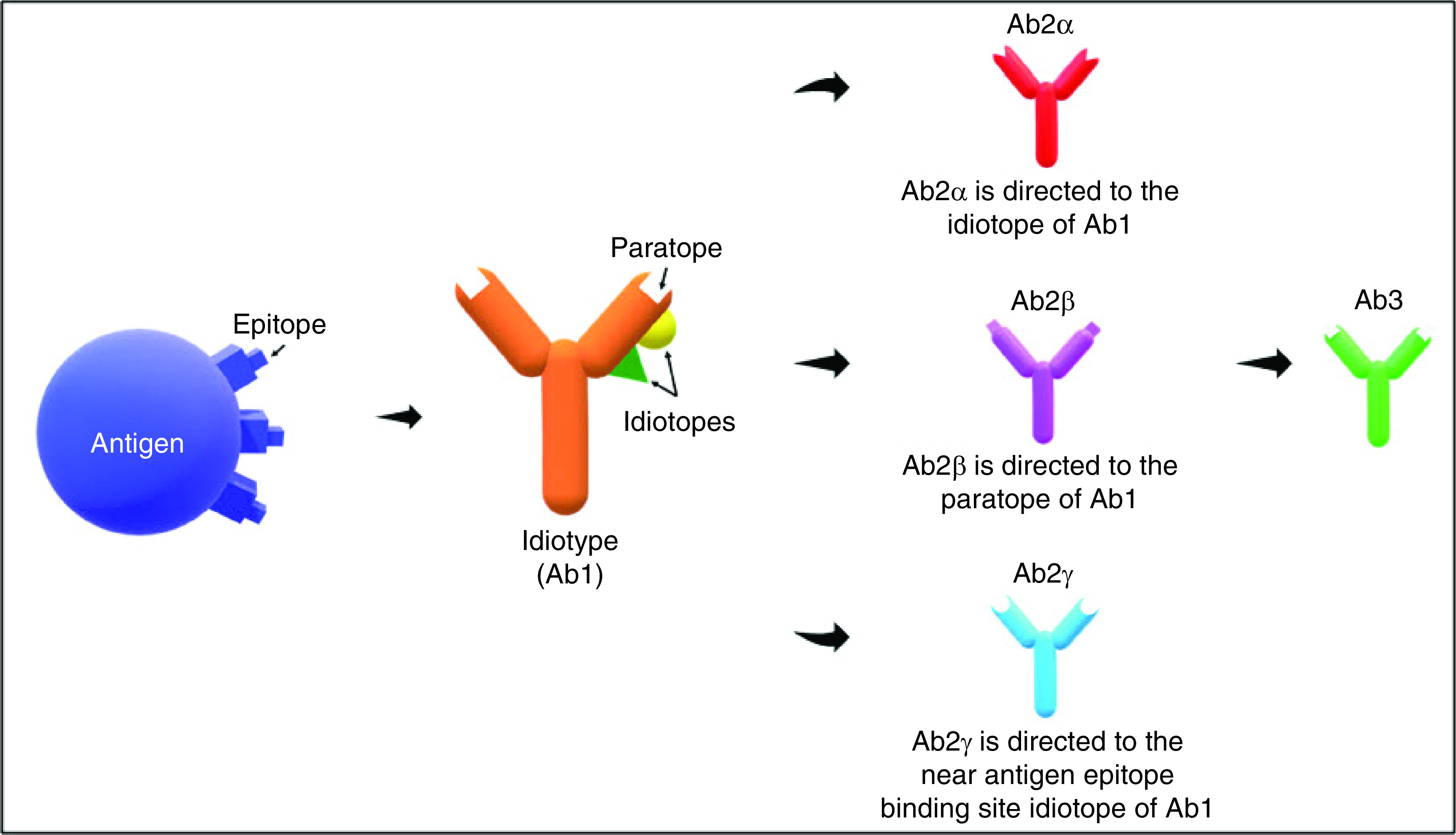 Figure 1. 