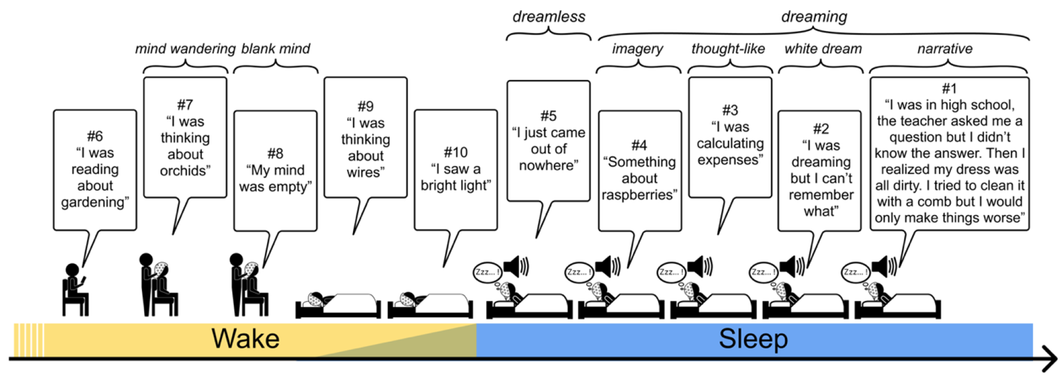 Figure 1: