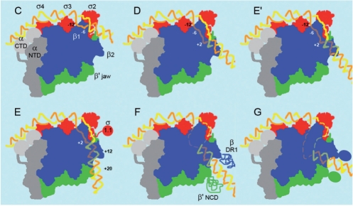 Figure 7.