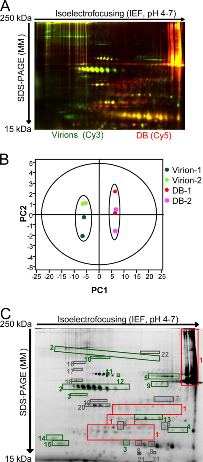 Fig 4