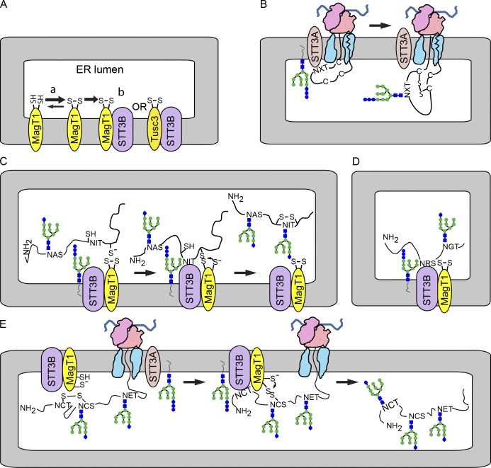 Figure 7.