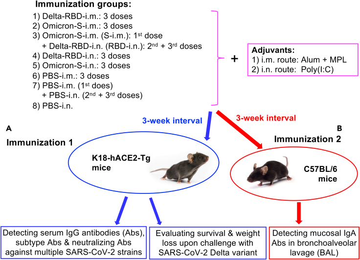 Figure 1