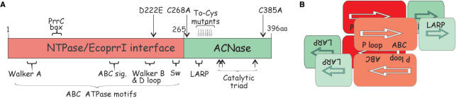 Figure 10.