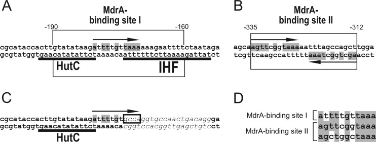 Fig 7