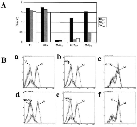 FIG. 6.