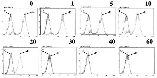 FIG. 5.