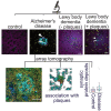 Graphical abstract