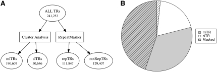 Figure 1.—