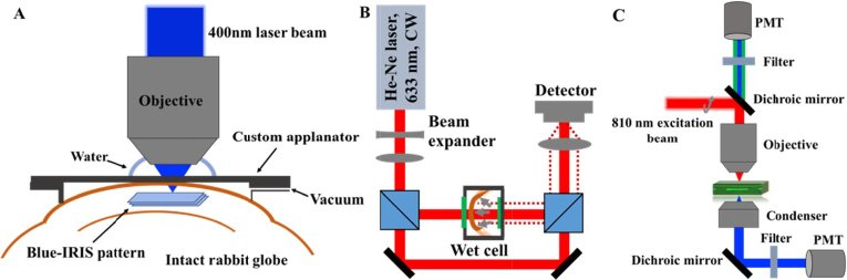 Fig. 1