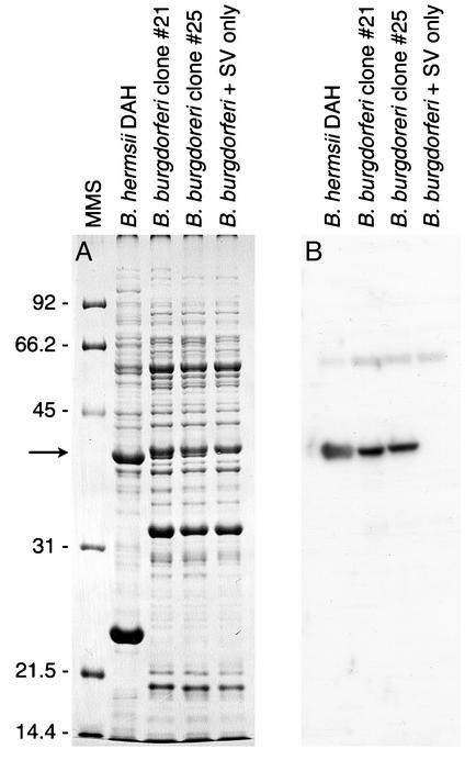 FIG. 5.