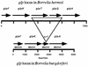 FIG. 3.