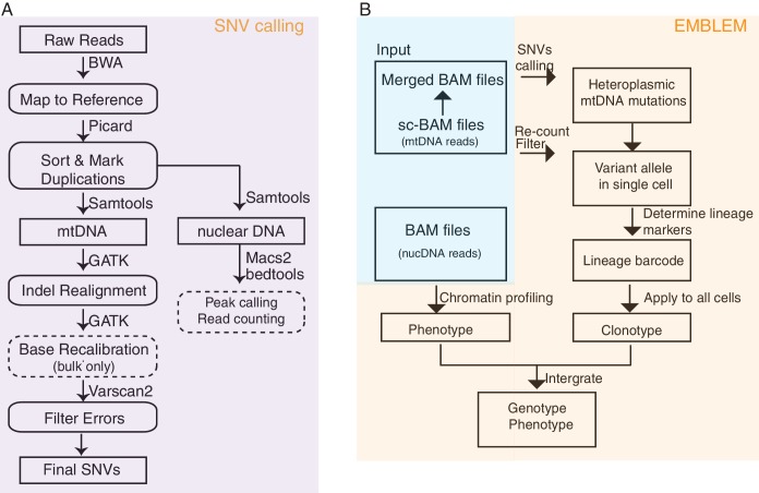 Figure 1—figure supplement 1.