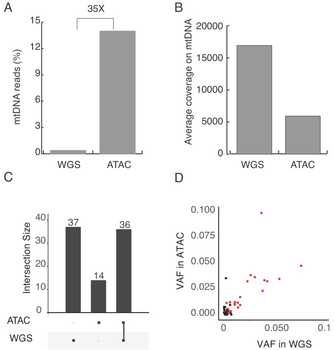 Figure 1—figure supplement 3.