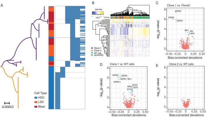 Figure 2—figure supplement 2.