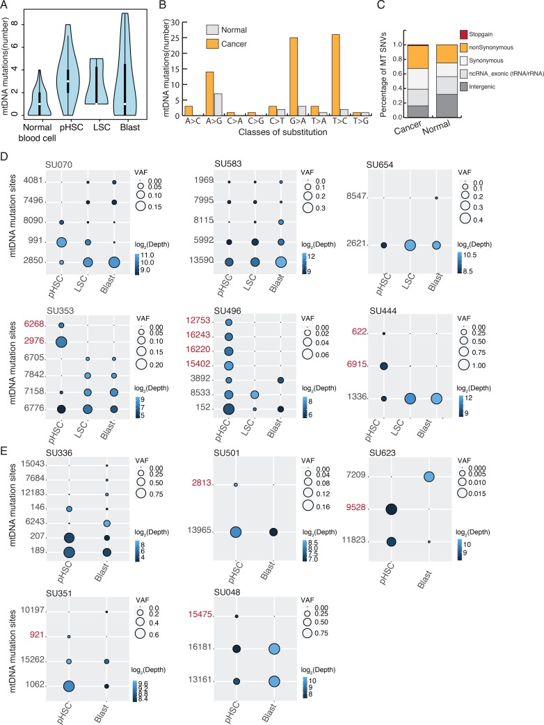 Figure 2—figure supplement 1.