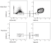 Figure 2—figure supplement 3.