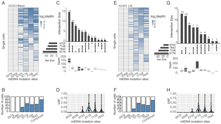 Figure 1—figure supplement 4.