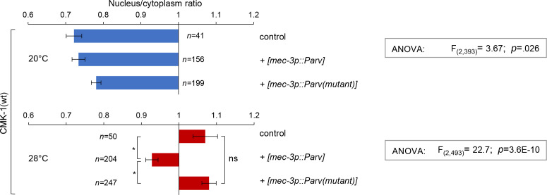 Figure 2—figure supplement 3.