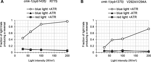 Figure 5—figure supplement 1.