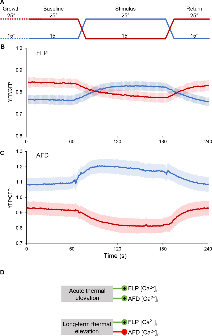 Figure 6—figure supplement 2.