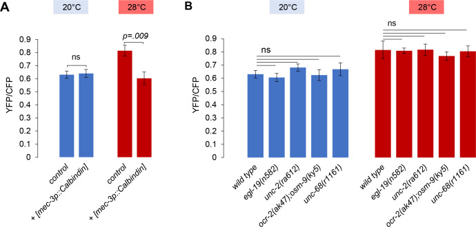 Figure 2—figure supplement 2.