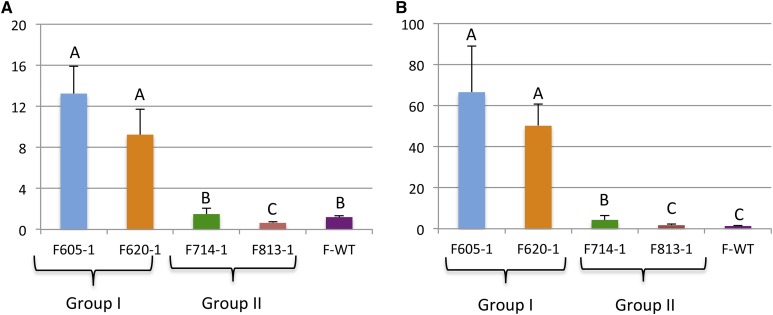 Figure 6.