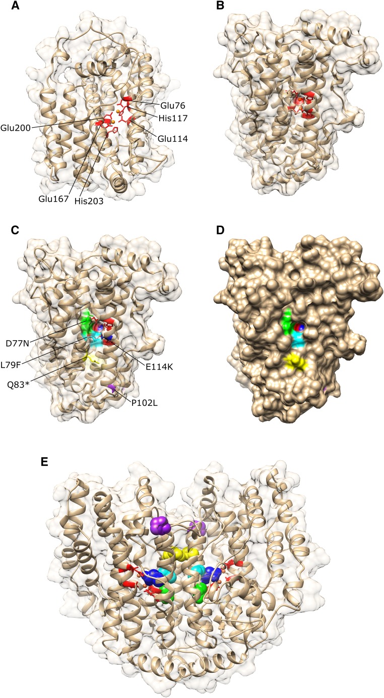 Figure 2.