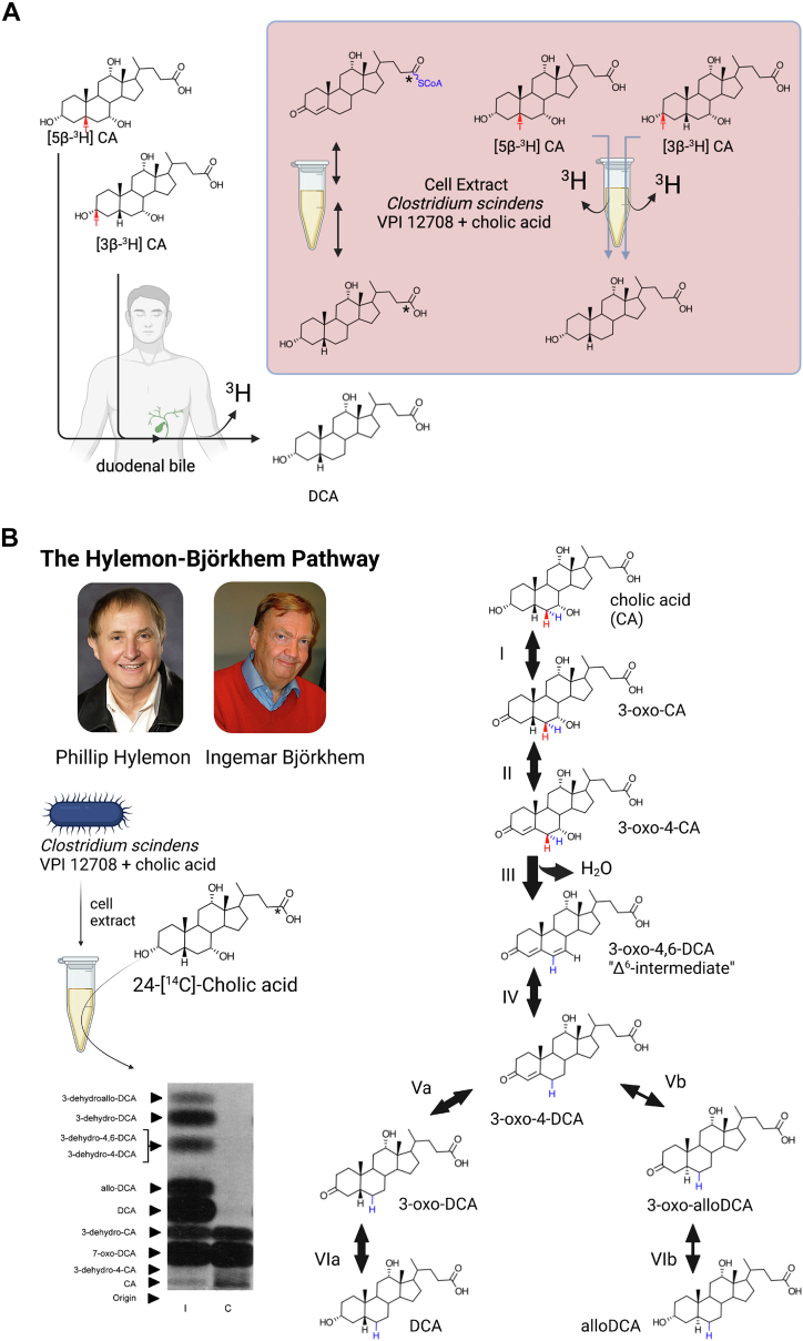 Fig. 7